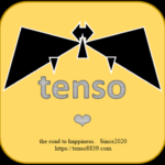 tenso logo